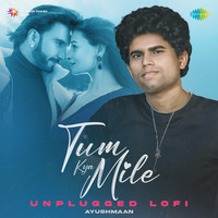 Tum Kya Mile - Unplugged Lofi