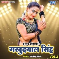 Gurbu Dayal Singh Vol-2