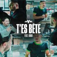 T'es bête