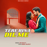 Tere Bina Dil Me