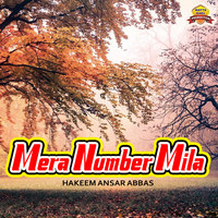 Mera Number Mila