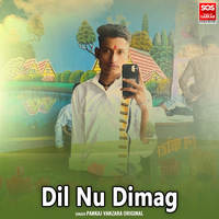 Dil Nu Dimag