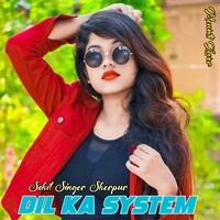 Dil Ka System