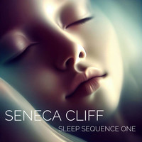 Sleep Sequence One