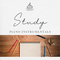 Study Piano Instrumentals