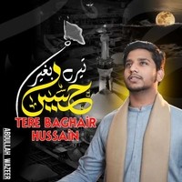 Tere Baghair Hussain