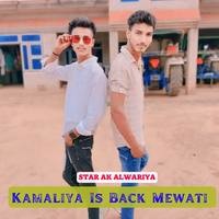 Kamaliya Is Back Mewati