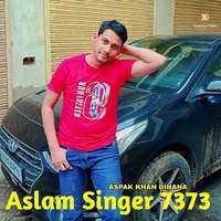 Aslam Singer 7373
