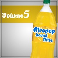 Afropop Sound Bites, Vol. 5