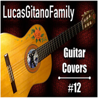 Guitar Cover #12
