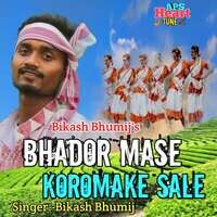 Bhador Mase Koromake Sale