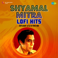 Shyamal Mitra Lofi Hits
