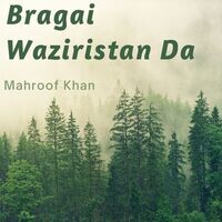 Bragai Waziristan Da