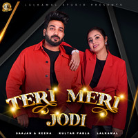 Teri Meri Jodi