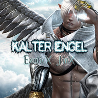 ~ Kalter Engel ~