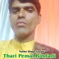 Thari Pemal Bindadi