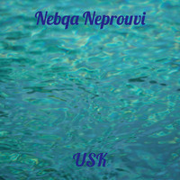 Nebqa Neprouvi