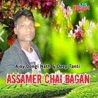 Assamer Chai Bagan