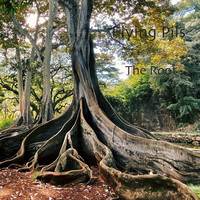 The Root