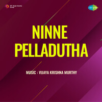 Ninne Pelladutha