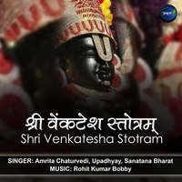 Shri Venkatesha Stotram