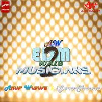 EDM Wale Musicians 2