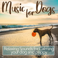 Music for Dogs - Relaxing Sounds for Calming Your Dog and Puppy