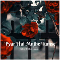 Pyar Hai Mujhe Tumse