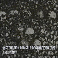 Instruction for Self Destruction (EP)