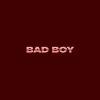 Bad Boy