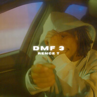 DMF 3