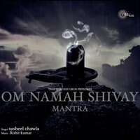 Om Namah Shivay