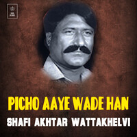 Picho Aaye Wade Han