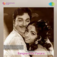 Bangaaradha Panjara