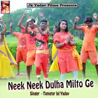 Neek Neek Dulha Milto Ge