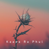 Kaada Ra Phul