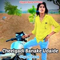 Cheelgadi Banake Udaide