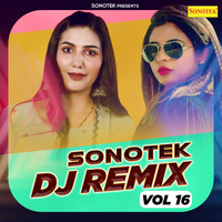 Sonotek DJ Remix Vol 16