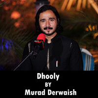 Dhooly