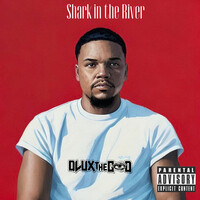 Shark in the River