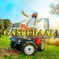 Gaspedaal