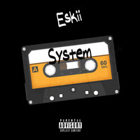 System