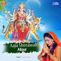 Aaja sherawali maa