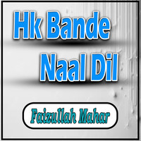 Hk Bande Naal Dil