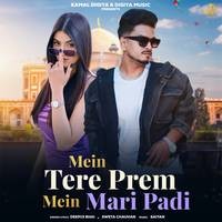 Mein Tere Prem Mein Mari Padi