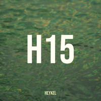 H15