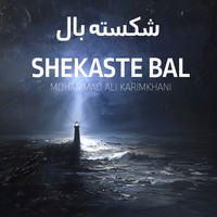 Shekaste Bal