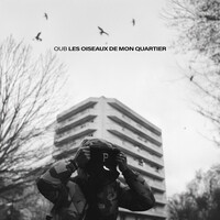 Les oiseaux de mon quartier