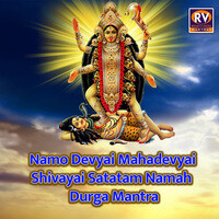 Namo Devyai Mahadevyai Shivayai Satatam Namah - Durga Mantra