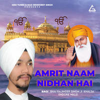 Amrit Naam Nidhan Hai